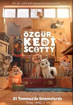 ÖZGÜR KEDİ SCOTTY